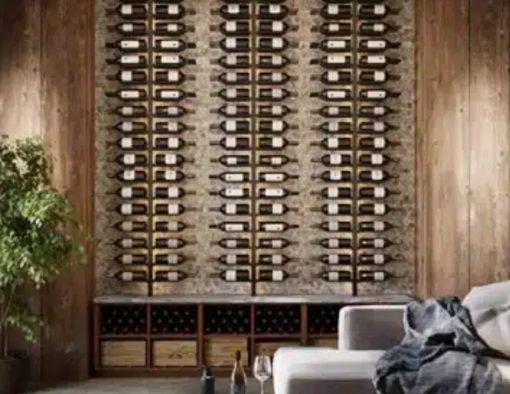 Untitled design - 2026-03-03T093635.800