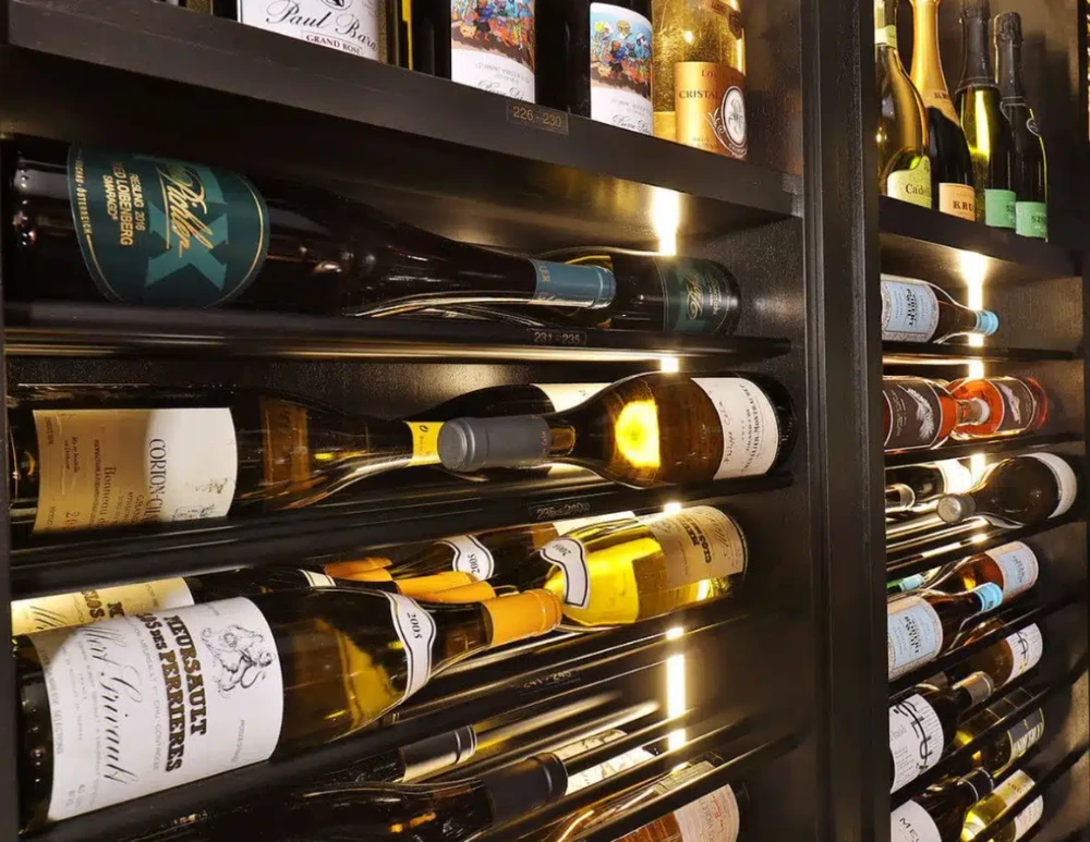 Untitled design - 2026-03-03T094459.787